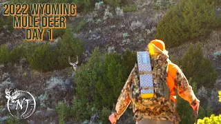 2022 Wyoming Mule Deer (Day 1 "Opening Day")