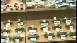 Cierran dispensarios de marihuana medicinal