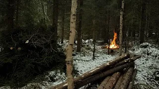 Polttopuuta ja taustalla palavia oksia