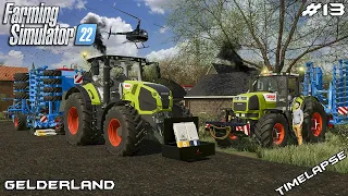 Seeding SPRING WHEAT with CLAAS tractors | Animals on Gelderland | Farming Simulator 22 | Episode 13