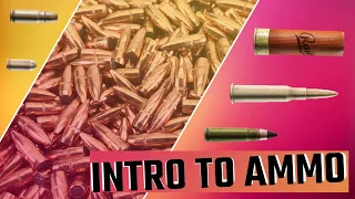 INTRO TO AMMO Beginner Guide - Ultimate IN DEPTH VIDEO - EFT