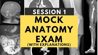 Radiology anatomy practice test: Session 1 (with answers and explanations)