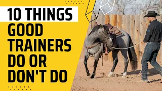 10 Things Good Trainers Do or Don't Do | Horse Training Tips and Tricks