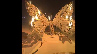 My Burning Man 2022 Experience