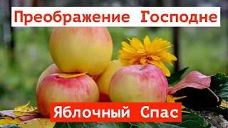 Преображение Господне!  Яблочный Спас!  Музыкальное поздравление!