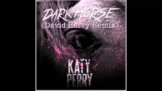 Katy Perry ft. Juicy J - Dark Horse (David Harry Radio Edit)