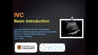 IVC - Basic Introduction