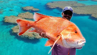 You won't believe what Aussie Jo caught while Reef Fishing...