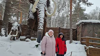 Выбрали средство передвижения для всей семьи.Побывали в мини зоопарке.