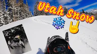 Sunny Day In The Utah Snow