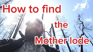 How to find the Mother lode