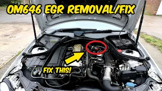 EGR VALVE FIX! How to remove and fix mercedes 220 cdi OM646 EGR valve - No more EML!