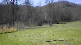 Bigfoot sighting in West Virginia!!!