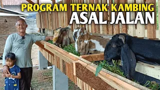 Tips Ternak Kambing Untuk Pemula Banget‼️