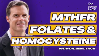 The Science of Methylation and MTHFR with Dr. Ben Lynch