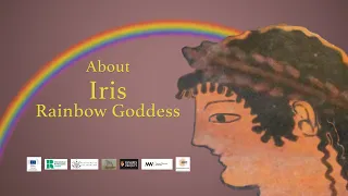 About Iris