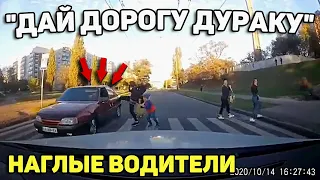 Автоподборка "Дай Дорогу Дураку"🚧Торопыги и Водятлы#179