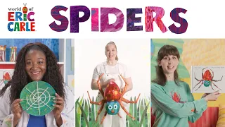 The Very Busy Spider Read Aloud / Spiderweb Craft / Meet the Spider Puppet | ERIC CARLE