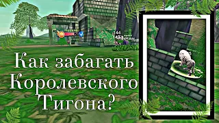 🐾 WildCraft || Как забагать Королевского Тигона? || Ответ тут.