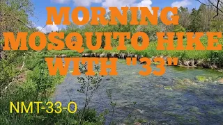 MORNING MOSQUITO HIKE WITH "33"