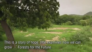 Trailer Forests for the Future - New forests for Africa!