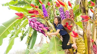 Harvest Red Banana Blossom Go to the market sell - Grilled Corn charcoal on a newly built stove