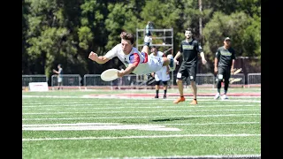 2019 UFA Championship Game: Dallas vs New York | #ultimatefrisbee