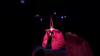 Bas Bleu Show - Feeling Good - Aerial Silks