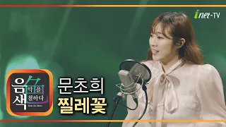 문초희 – 찔레꽃 [아이넷TV 음색]