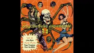 Various ‎– The Psychedelic Experience Vol 4 : Ultra Rare Acid Punk Fuzz Monsters From The 60s! Album