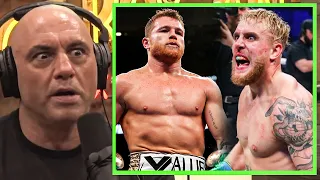 Joe Rogan on Canelo Fighting Jake Paul