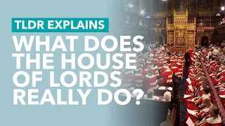 What Does the House of Lords Really Do? - TLDR Explains