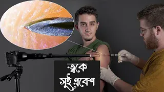 আমি দৈনন্দিন ব্যবহৃত বস্তুর ক্লোজ আপ শট ধারণ করেছি (১০০০ গুণ ম্যাক্রো জুমিং পরীক্ষা)