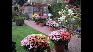 2021 - Восхитительный цветущий сад в Германии THE BEST MUSIC