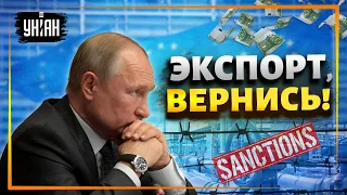 Удар ниже пояса. Как санкции повлияли на российский экспорт в ЕС