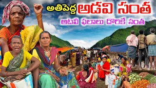 అల్లూరి జిల్లాలో ఆడవిసంత అదుర్స్ |Tribal Market in dency forest #maredumilli @MyluRams