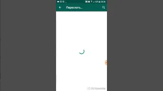 Как в вотсапе WhatsApp переслать картинку вместе с текстом