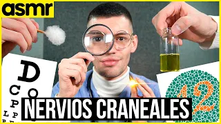 ASMR examen nervios craneales roleplay para dormir ASMR español