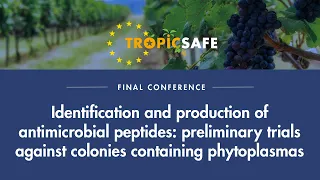 Nicoletta Contaldo - Identification and production of antimicrobial peptides