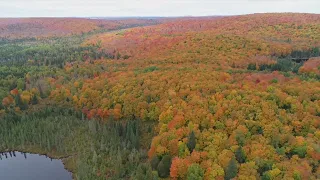 DNR Launches "Fall Colors Finder," predicts a good peaking season ahead