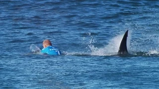 Surfer Mick Fanning escapes white shark attack in Jeffreys Bay