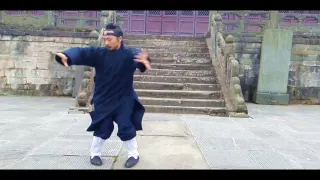 Wu Dang Ba Gua Zhang 武当八卦掌 Master Xu Wei Han