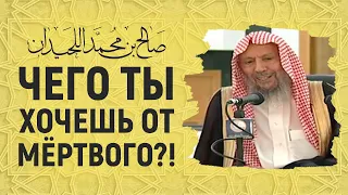 Слышат ли мёртвые?! Шейх Салих аль-Люхайдан