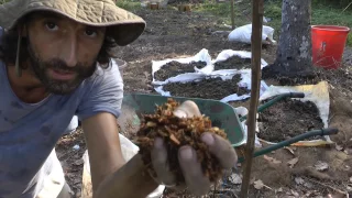 Terra Preta - How to make the best Organic Gardening soil on the Planet?