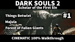 Dark Souls 2 SotFS 1/24 - 100% Walkthrough - No commentary track