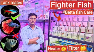 Fighter fish || Betta fish care, Tankmates, Tank size, Heater, Filter , Pari Aquarium, Kurla market