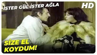 İster Gül İster Ağla - Zeynel, Şermin'e El Koyuyor! | Aydemir Akbaş Eski Türk Filmi