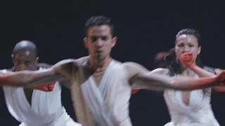 Phoenix Dance Theatre Double Bill Trailer