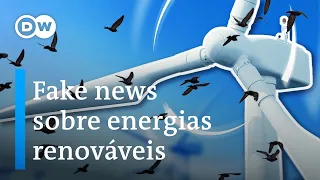 Quem ganha com as fake news sobre energias renováveis?