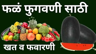 फळाची फुगवण न होण्याची पाच कारणे व उपाय ll Best Fertilizer To Increase Fruit Size